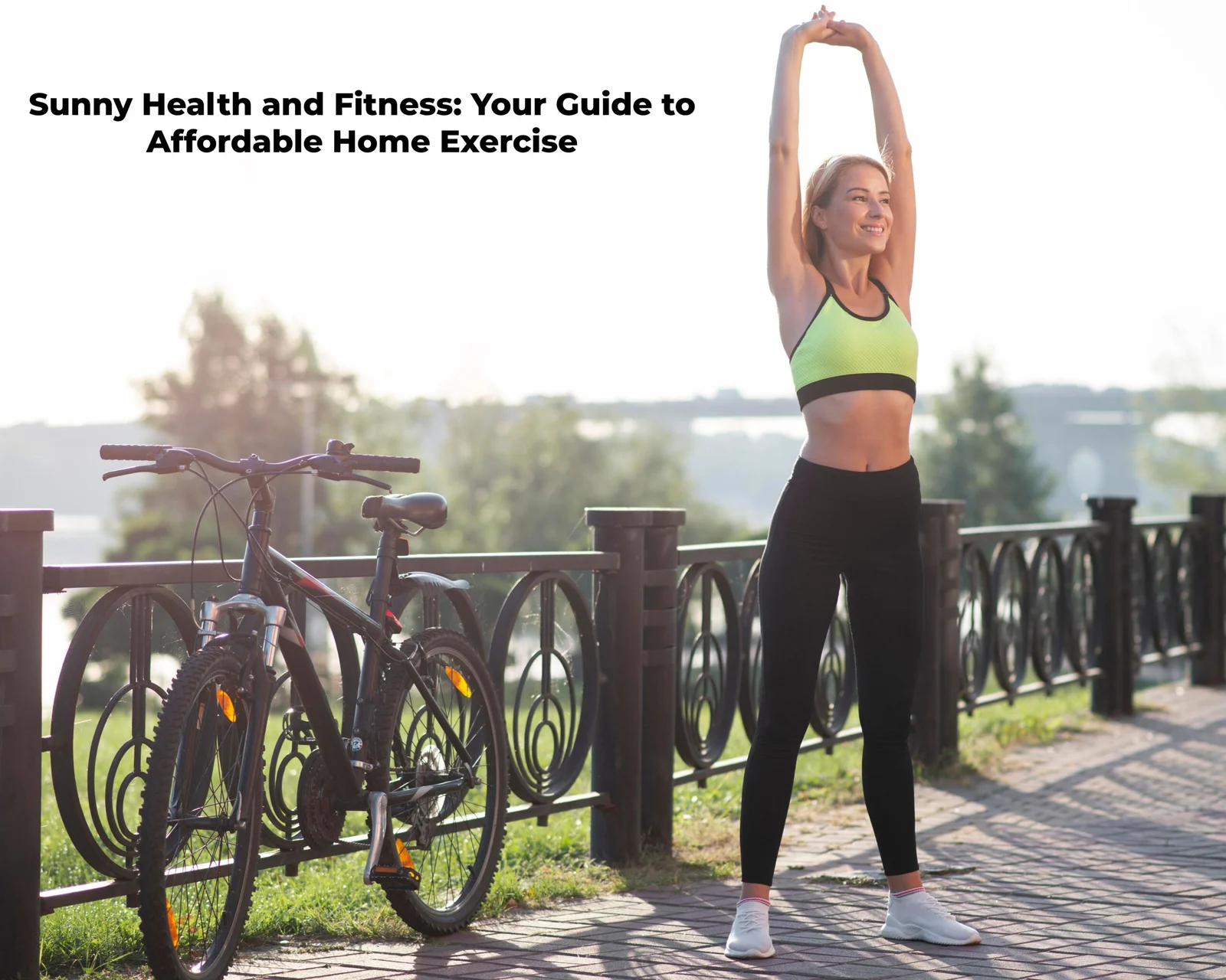 Sunny Health and Fitness Your Guide to Affordable Home Exercise